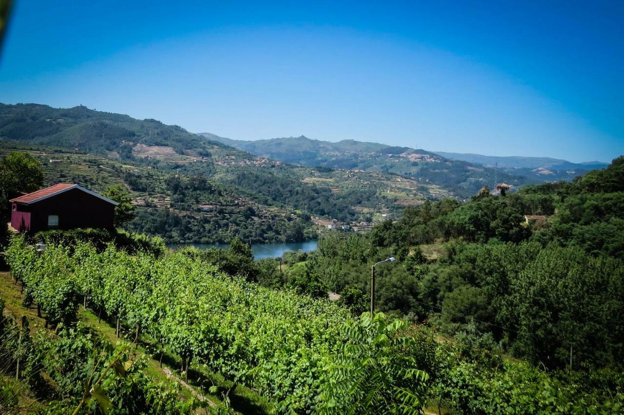 Casa Da Mouta - Douro Valley Baião Zewnętrze zdjęcie