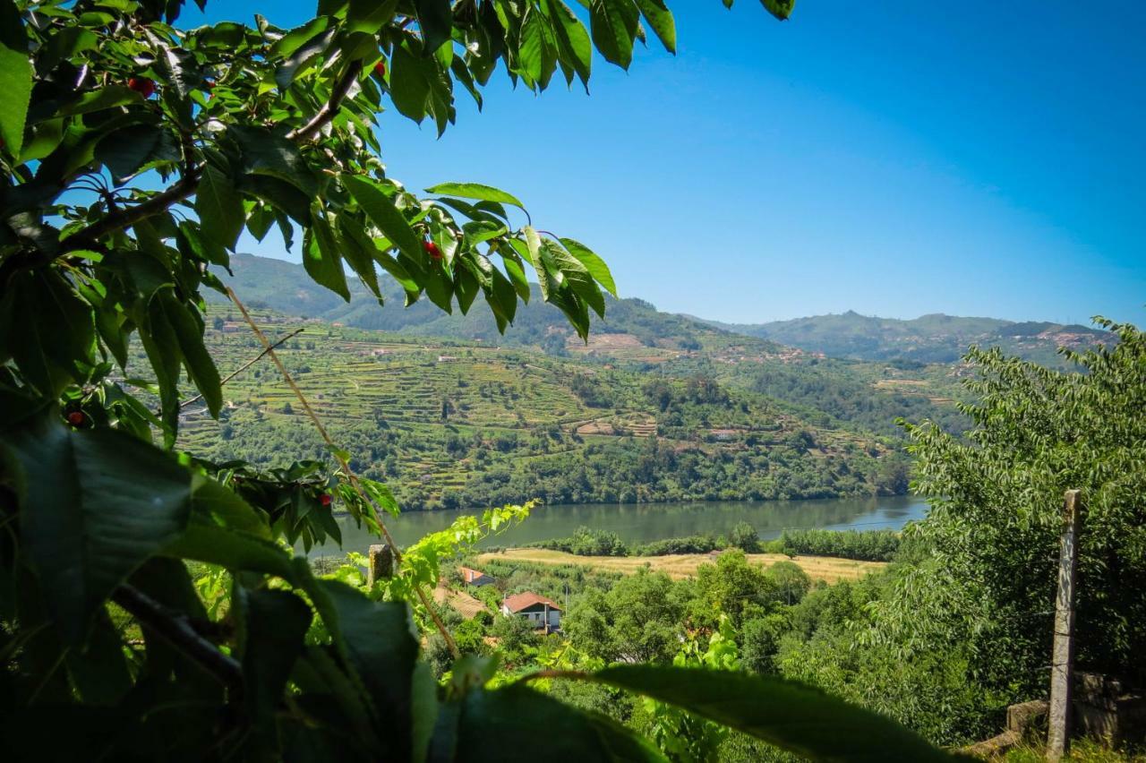 Casa Da Mouta - Douro Valley Baião Zewnętrze zdjęcie