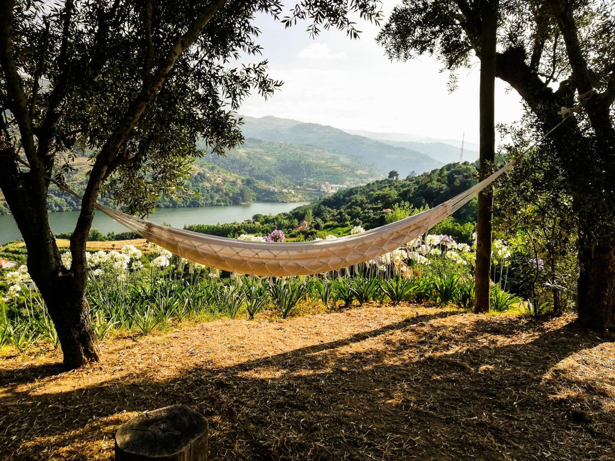 Casa Da Mouta - Douro Valley Baião Zewnętrze zdjęcie