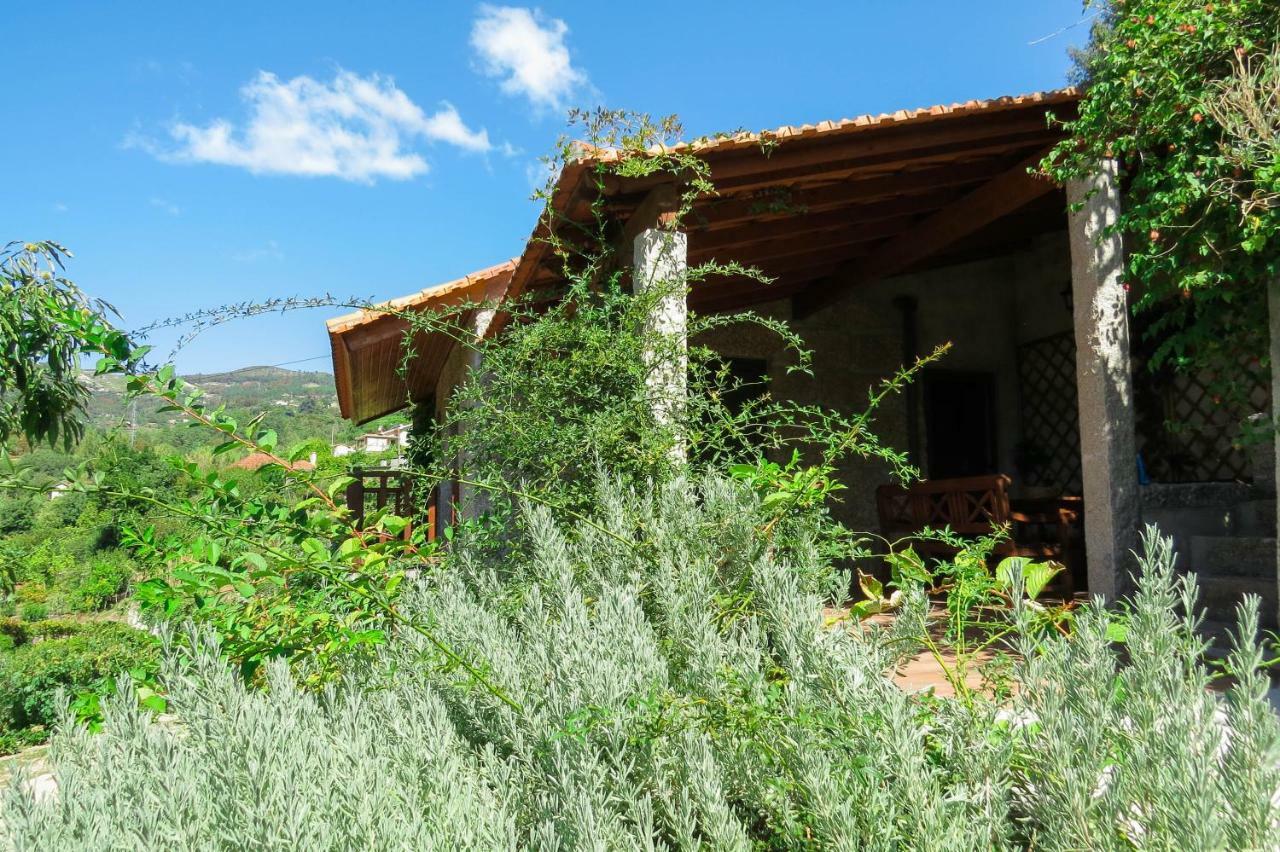 Casa Da Mouta - Douro Valley Baião Zewnętrze zdjęcie